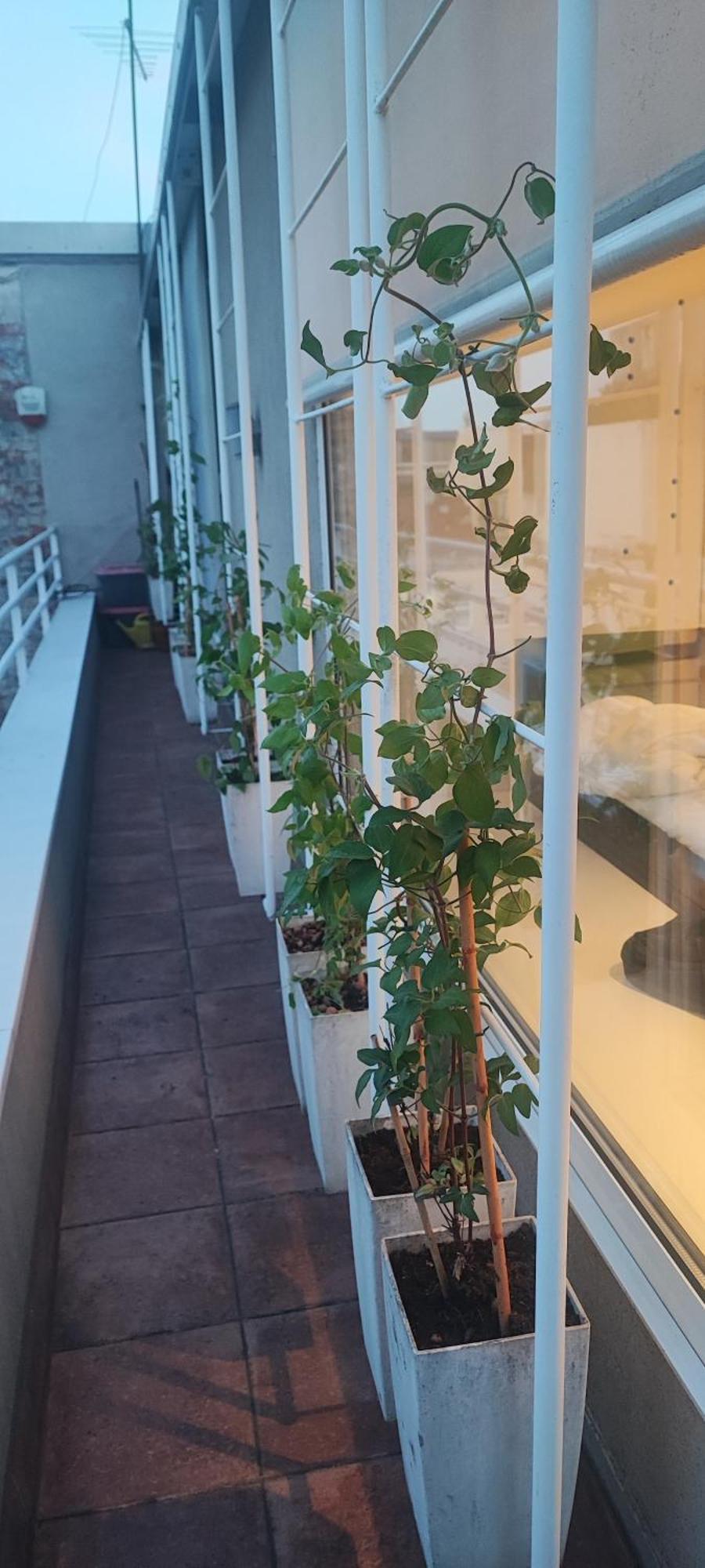 자그레브 Artissimo Roofterace 아파트 외부 사진